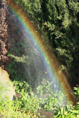 Прикрепленное изображение: IMG_8634_.jpg